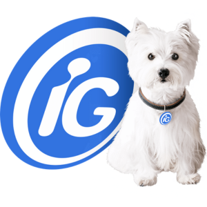 logo portal ig